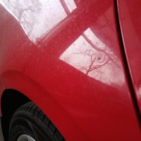 Заднее правое крыло