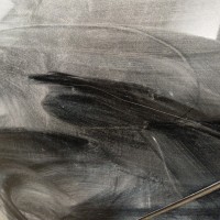 Задняя левая дверь