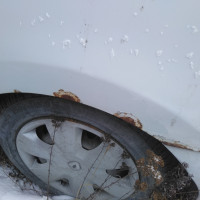 Заднее левое крыло