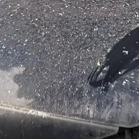 Заднее правое крыло