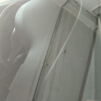 Ветровое стекло