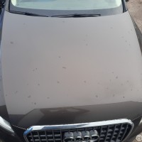 Фото транспортного средства