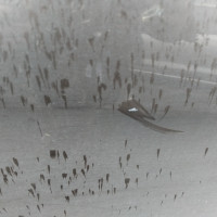 Передняя правая дверь