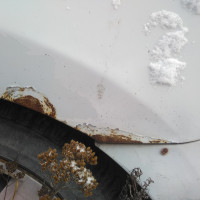 Заднее левое крыло