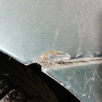 Переднее правое крыло