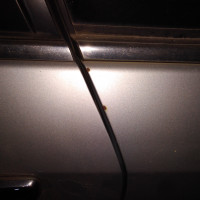 Заднее левое крыло