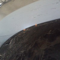 Переднее правое крыло