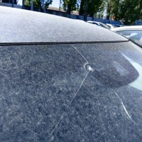 Ветровое стекло