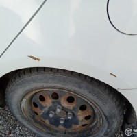 Заднее левое крыло