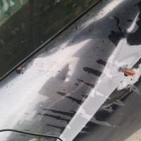 Заднее левое крыло