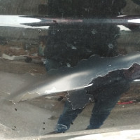 Переднее левое крыло