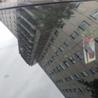 Ветровое стекло