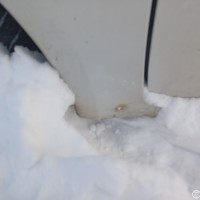 Переднее левое крыло