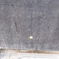 Задняя правая дверь