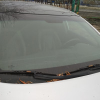 Ветровое стекло