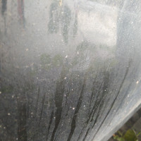 Передняя левая дверь