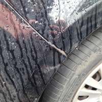 Заднее правое крыло