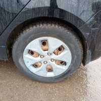 Фото транспортного средства