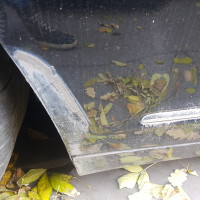 Переднее левое крыло