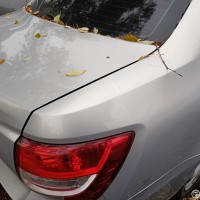 Заднее правое крыло