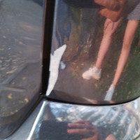 Заднее правое крыло