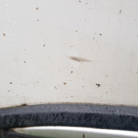 Передняя левая дверь