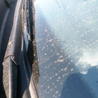 Ветровое стекло