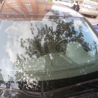 Фото транспортного средства