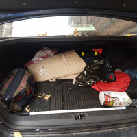 Фото транспортного средства