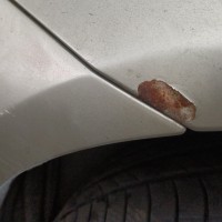 Переднее левое крыло