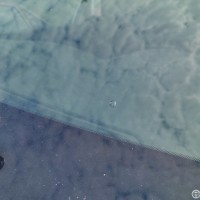 Ветровое стекло