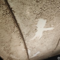 Переднее левое крыло