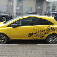 Фото транспортного средства