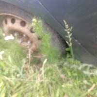 Заднее правое крыло