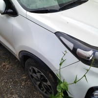 Переднее правое крыло