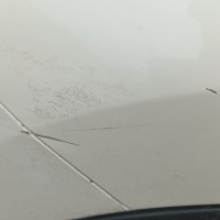 Заднее правое крыло