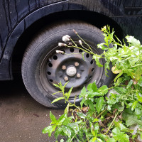 Фото транспортного средства