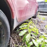 Правый порог