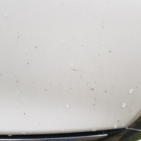 Передний бампер