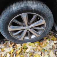 Фото транспортного средства