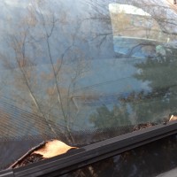 Ветровое стекло