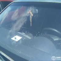 Ветровое стекло