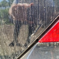 Крышка багажника