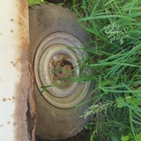 Фото транспортного средства