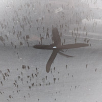 Передняя правая дверь