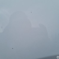 Переднее левое крыло