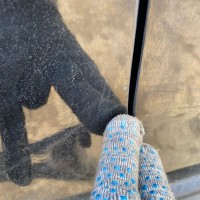 Задняя правая дверь