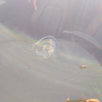 Ветровое стекло