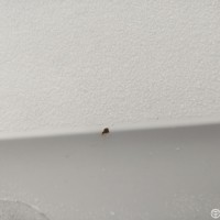 Передняя правая дверь