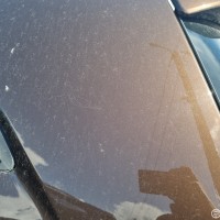 Заднее левое крыло